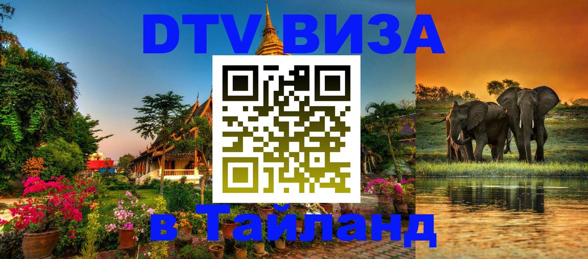 Оформление DTV визы под ключ: стоимость и тарифы, только загранпаспорт - Красногорск 